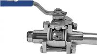 Clean Steam Ball Valves (Sanitary)